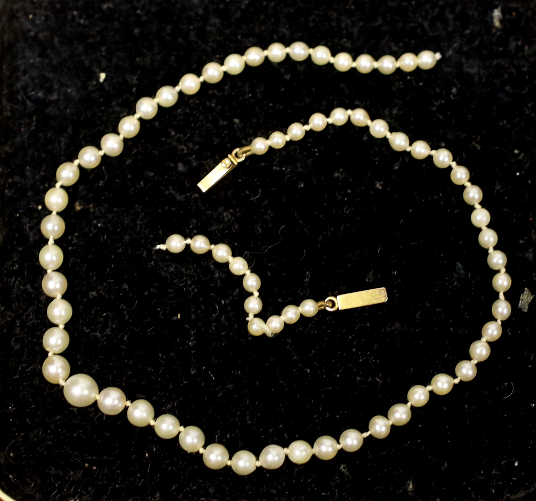 A single strand graduated cultured pearl necklace, with yellow metal clasp (a.f.), 31cm.